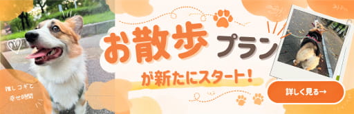 お散歩プラン