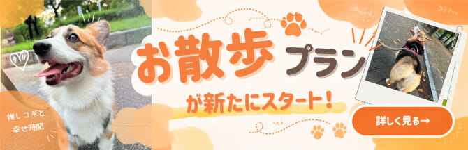 お散歩プラン