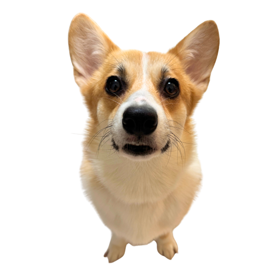 レモン