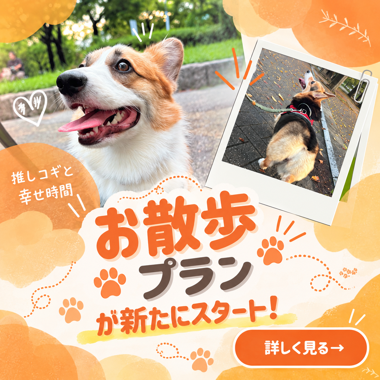 お散歩プラン